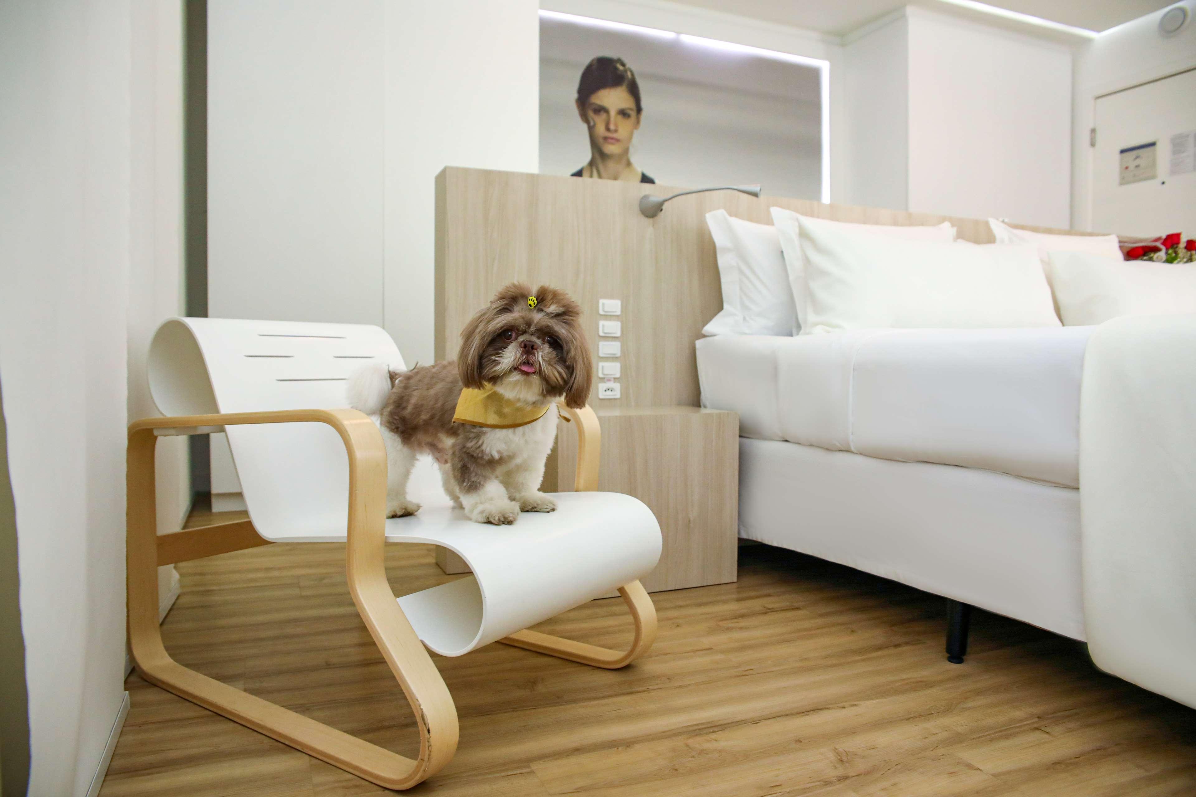 Best Western Plus Richmond Hill Inn Zewnętrze zdjęcie